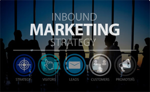 our marketing program